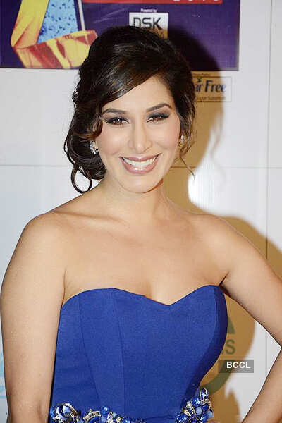 Zee Cine Awards 2013