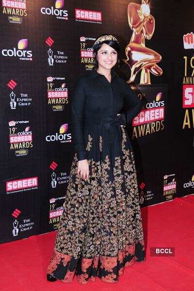 19th Annual Screen Awards 2013