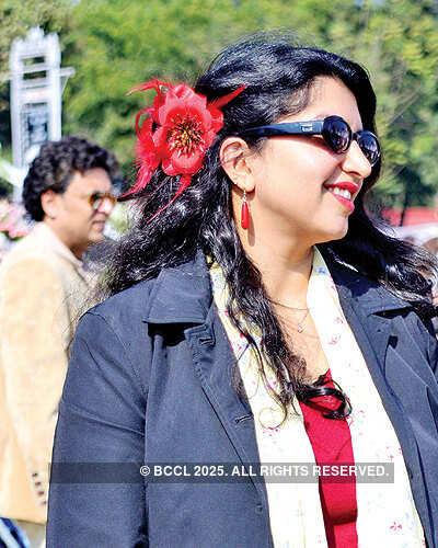 Arjun Cup Horse Race