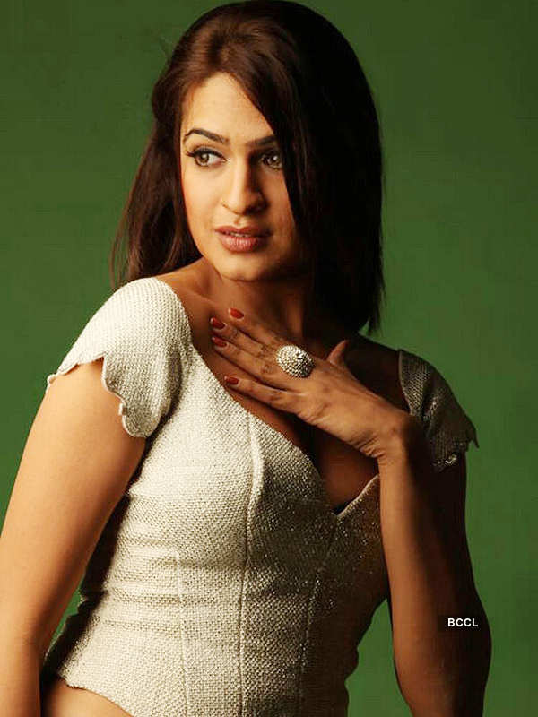 Super Sexy Aditi Agarwal Strikes A Pose During A Photoshoot