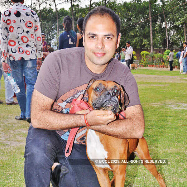 It's showtime for pets!