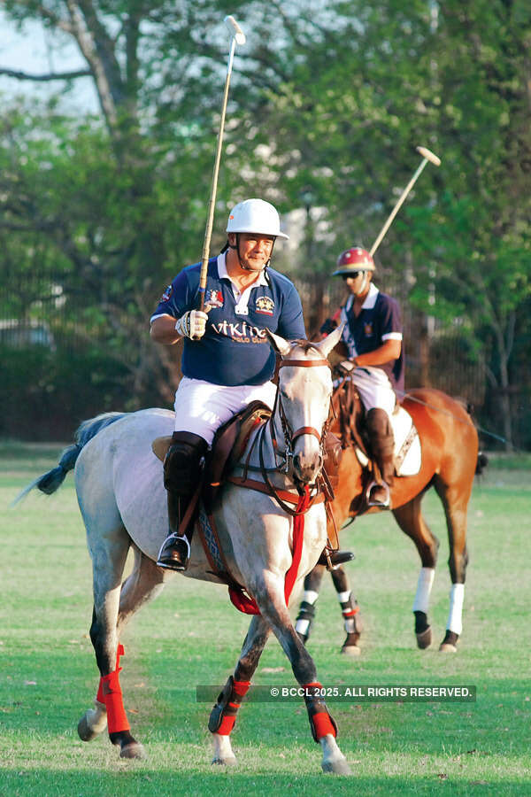 Horsing around in the sun