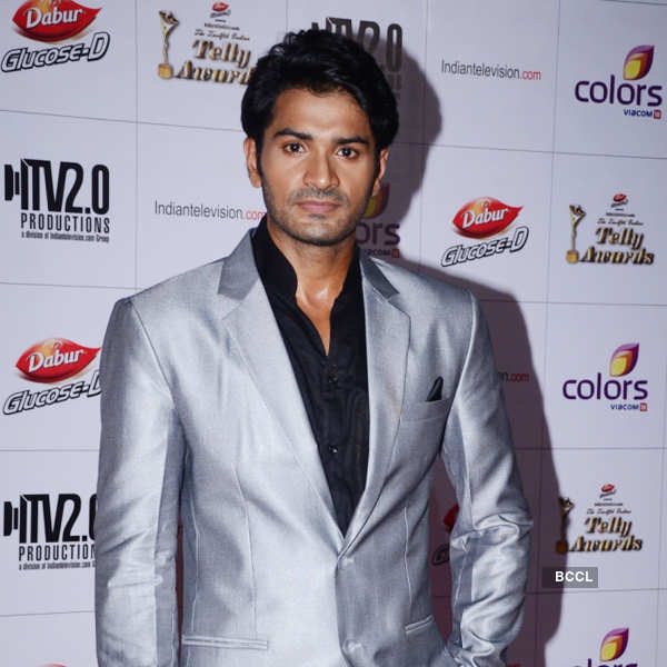 12th Indian Telly Awards