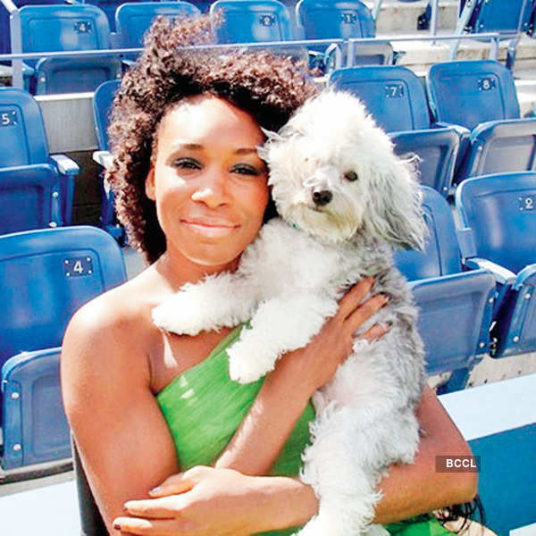 Pictures of celebrities & their pampered pets