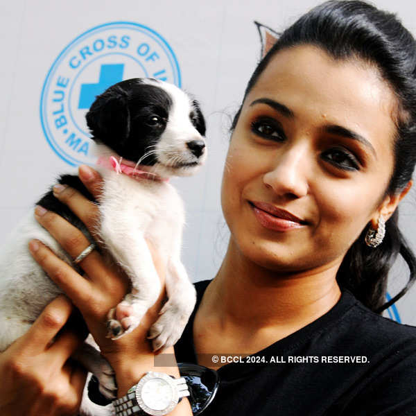 Trisha @ Blue Cross event