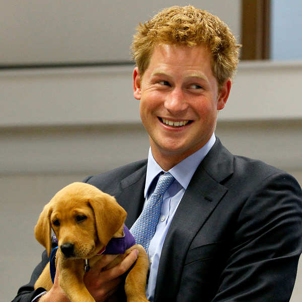 Prince Harry names himself 'ginger queen'