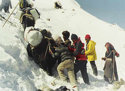 The ITBP 1992 Everest expedition