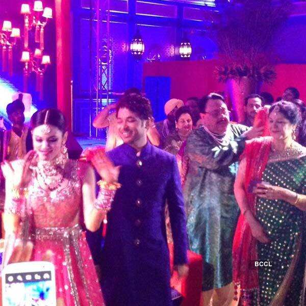 Anchal Kumar, Anupam Mittal's Wedding bash