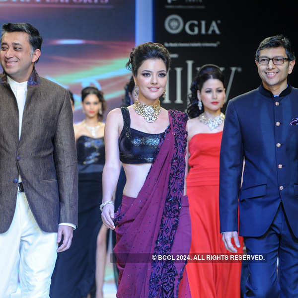 IIJW'13: D.Navinchadra 