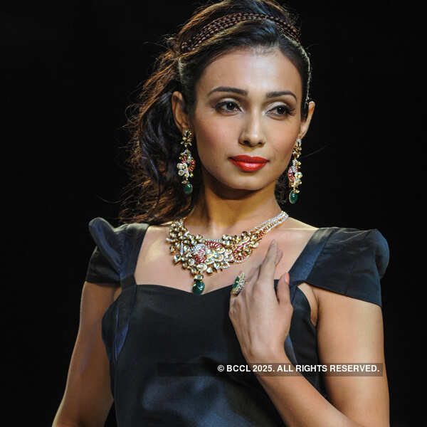 IIJW'13: D.Navinchadra
