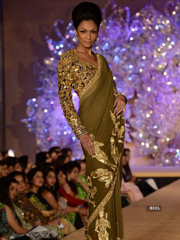 Abu-Sandeep's Golden Peacock show