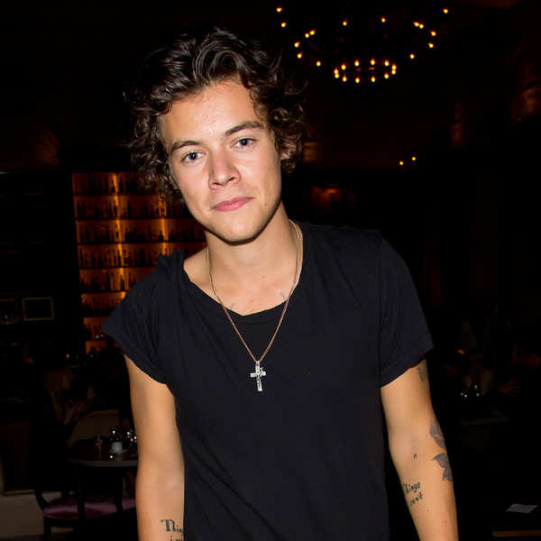 Harry Styles bids 150k pounds to board spacecraft
