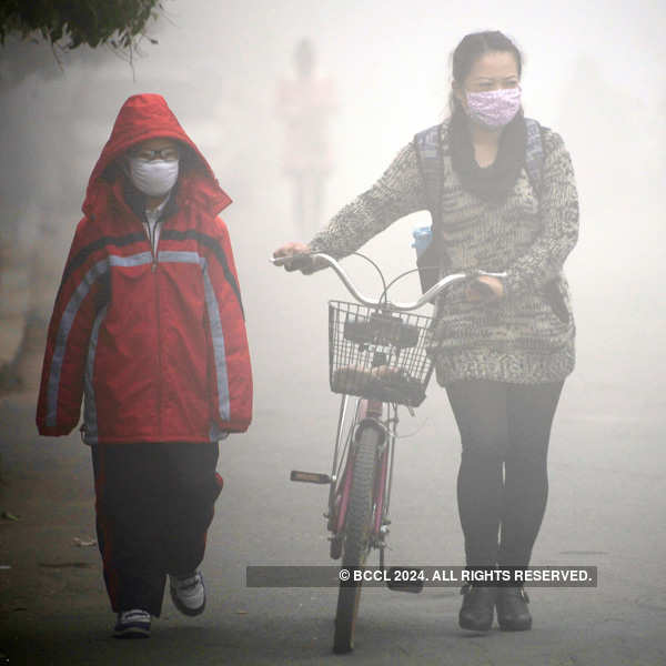 Smog shuts down China