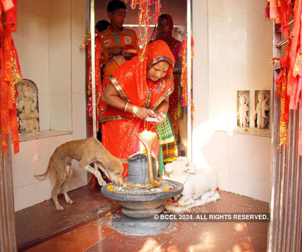 India celebrates Chhath puja