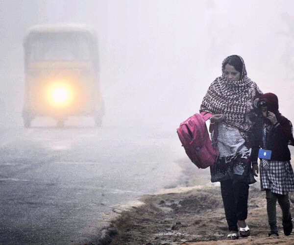 Best pictures of the day: 11th November 2013