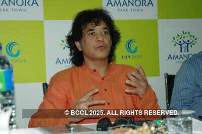 Zakir Hussain's performance