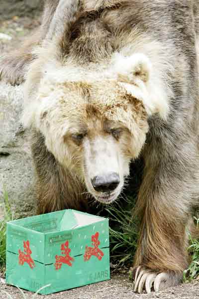 Sydney's Taronga Zoo