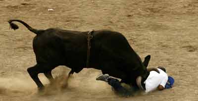 Bullfight festival