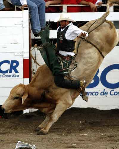 Bullfight festival