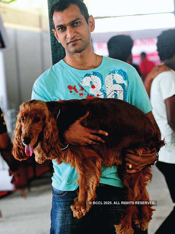 Dog Show @ The Bolghatty Palace Grounds