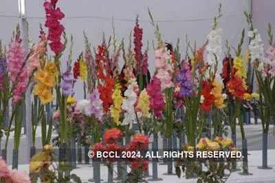 Diferentes flores de colores exhibidas en el espectáculo Rose & Gladiolus en NBRI - Galería de fotos