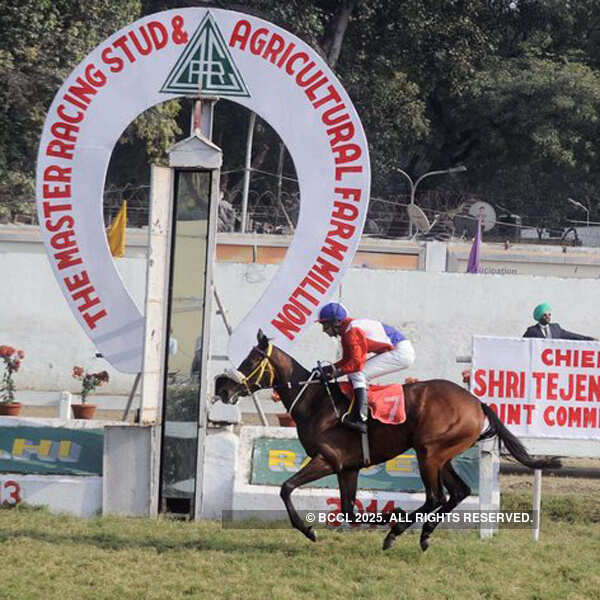 Master Racing Stud & Agricultural Farm Million Cup