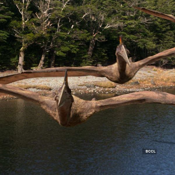 walking with dinosaurs quetzalcoatlus