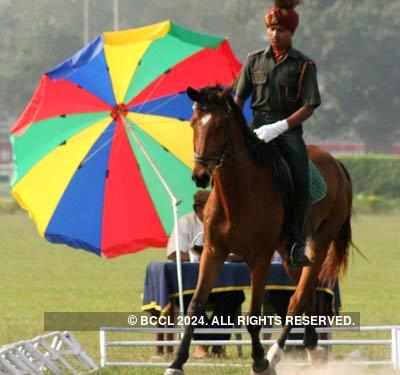 Kolkata Horse show
