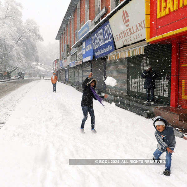 Kashmir gets fresh snowfall