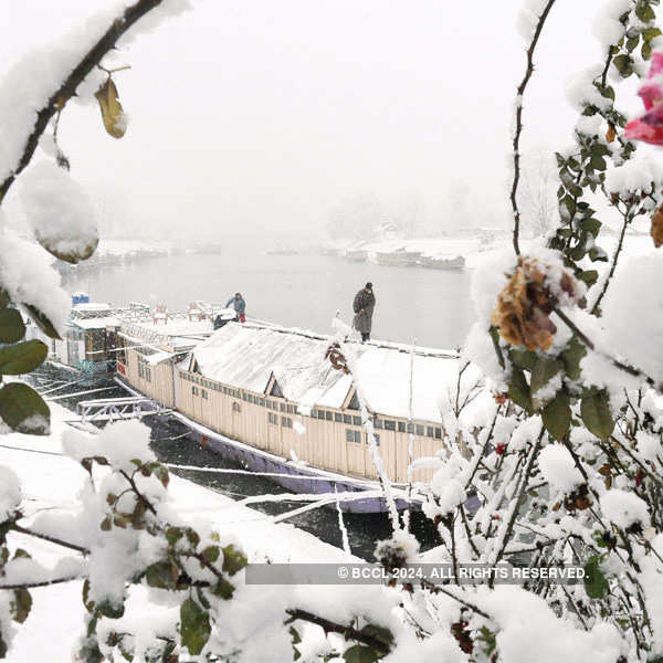 Kashmir gets fresh snowfall