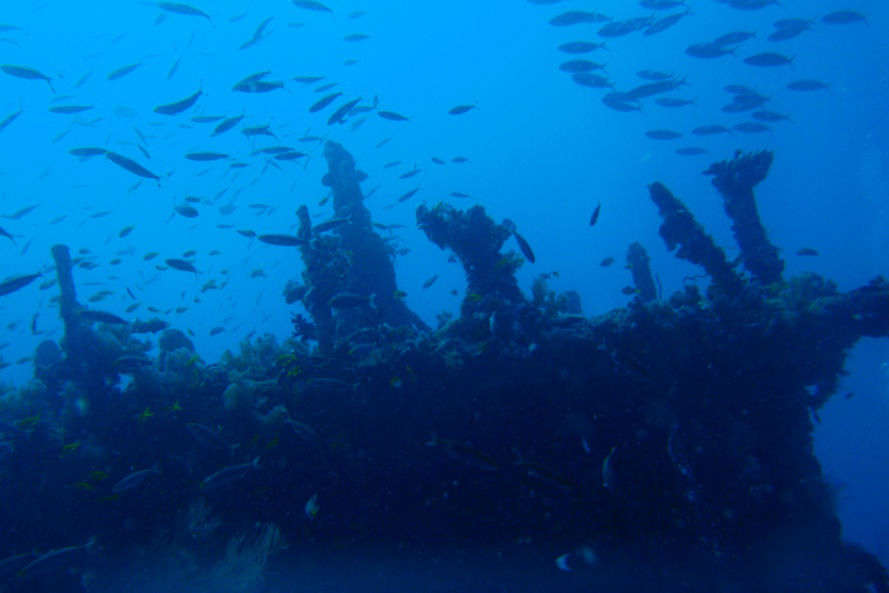 Wreck of the Maldive Victory in Maldives | Times of India Travel