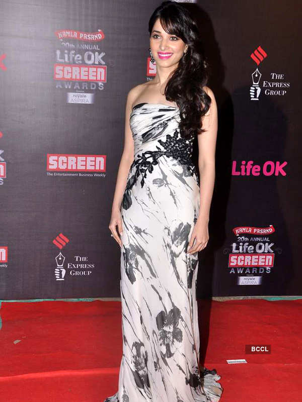 20th Annual Screen Awards '14