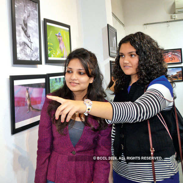 Exhibition Parchhai-An Artistic Collision in Indore