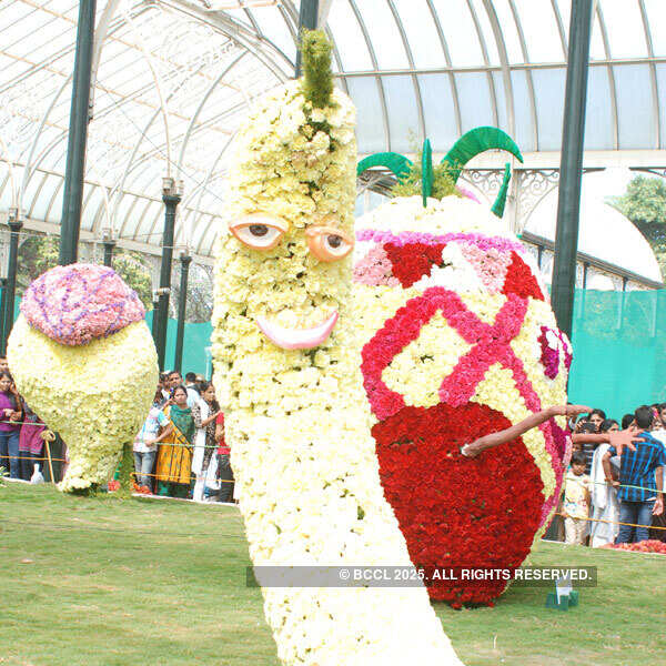 65th Annual Republic Day flower show