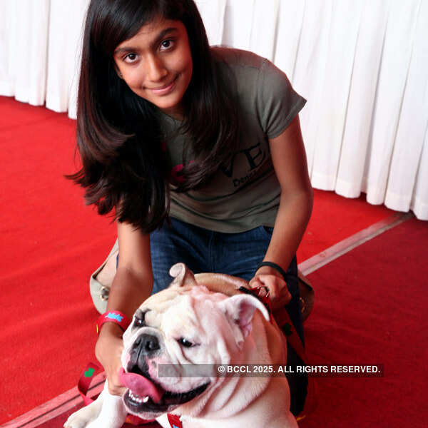 Pets, vintage cars steal the show