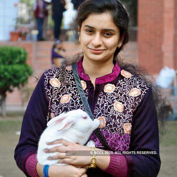 A Pet Show in Lucknow