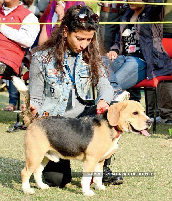 A Pet Show in Lucknow
