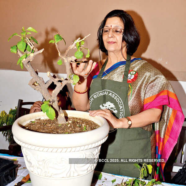Avadh Bonsai Association's workshop