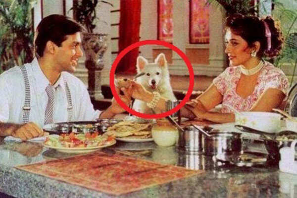 Bollywood Obsessed? Filmyfly World Is Your New Happy Place! - kkiypx8