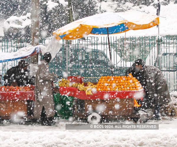 Kashmir Receives Fresh Snowfall