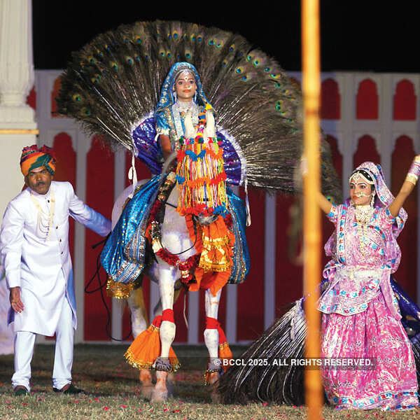 Dancing with Horses @ Rajasthan Polo Club