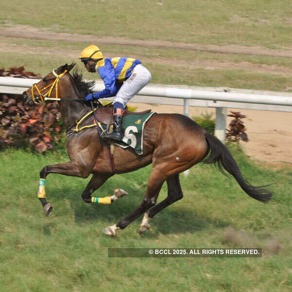 Navy, Hooghly Cup horse races in Kolkata