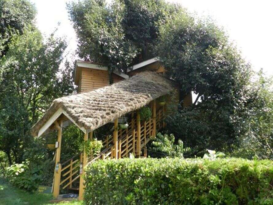 Treehouse Cottages Manali Manali Times Of India Travel