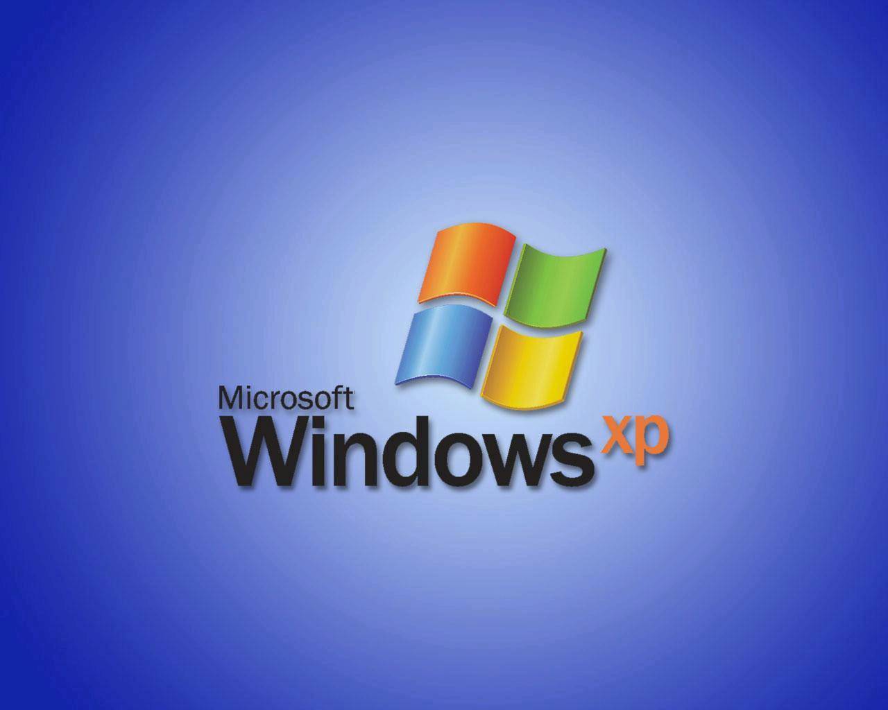 Microsoft Windows XP Professional  未開封その他