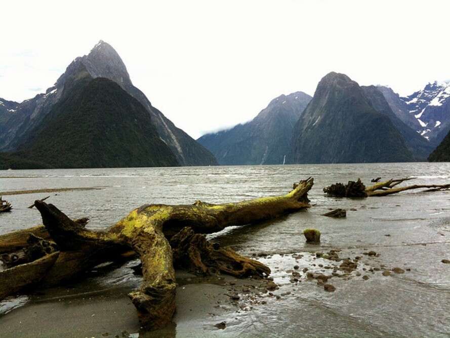 Southern Alps via the Milford Track 4175426593_2ba797253f_z
