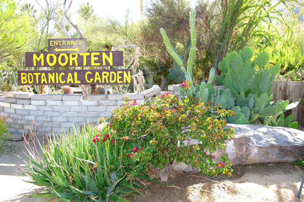 Moorten Botanical Garden In Palm Springs Times Of India Travel