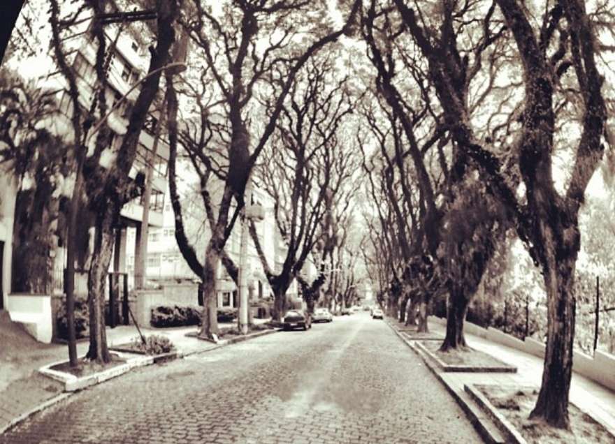 Rua Goncalo de Carvalho—the most beautiful street in the world
