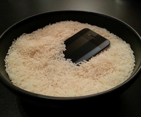Keep the phone in a bowl of uncooked rice