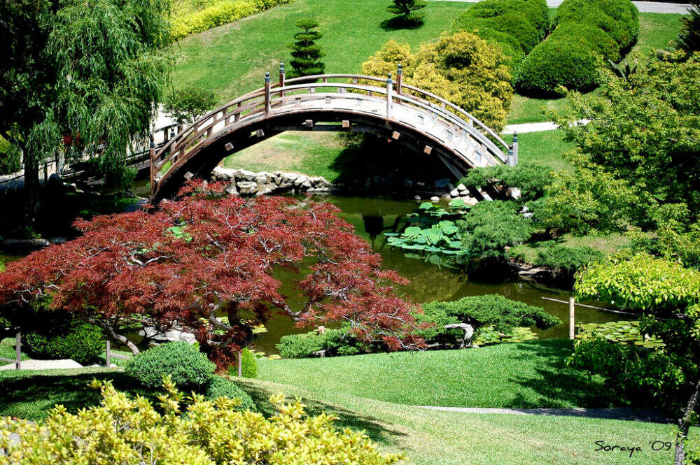 The Huntington Botanical Gardens In Los Angeles Times Of India