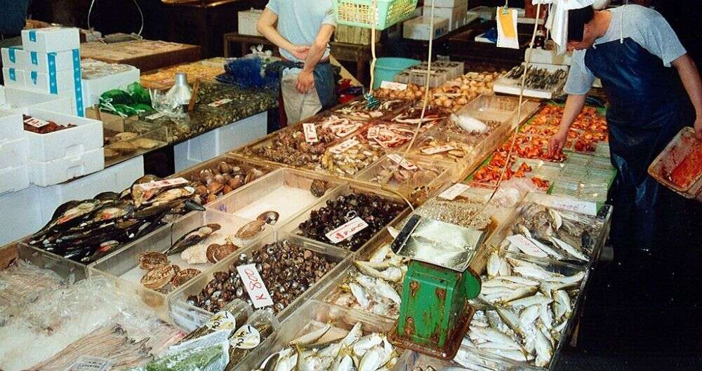 Tsukiji Fish Markets